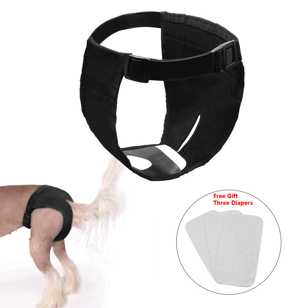 תחתוני ייחום L 1 יחידה